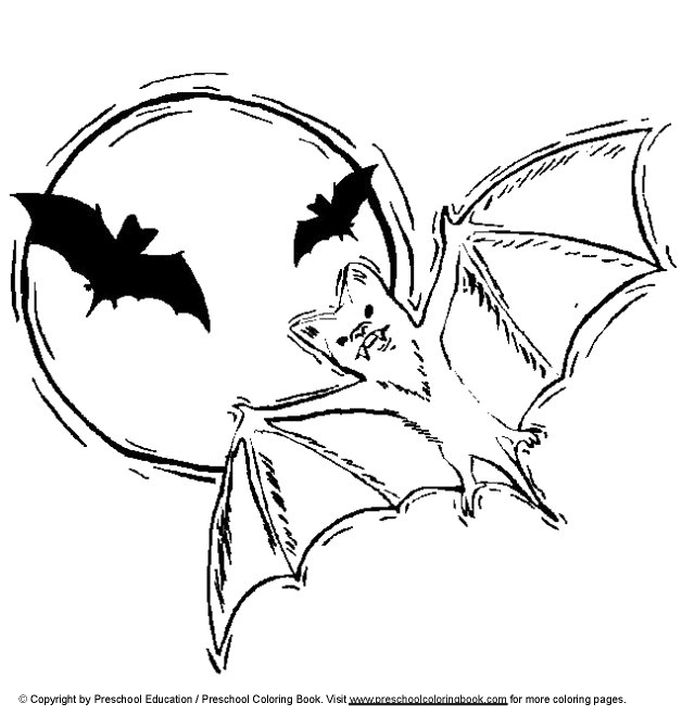 Vampire Bats Flying